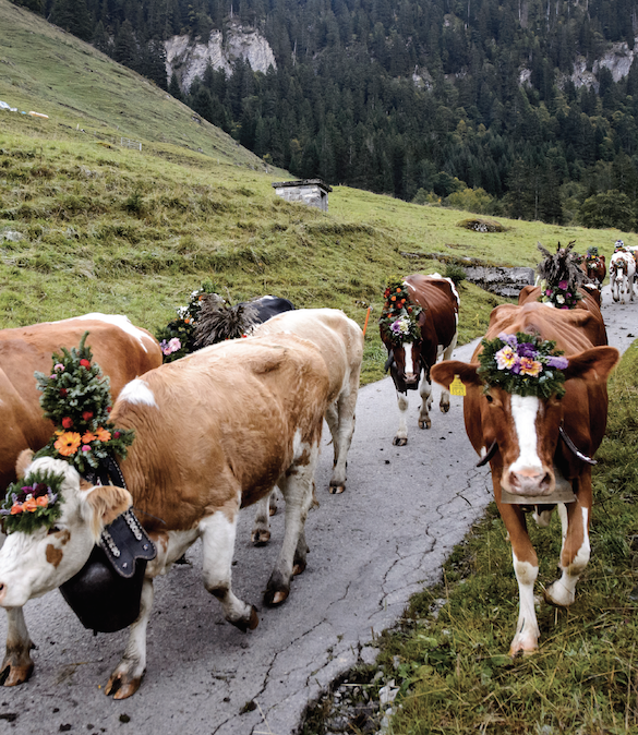 26 Choses À Voir Absolument en Suisse Image 5