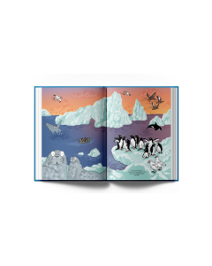 Destination Antarctica