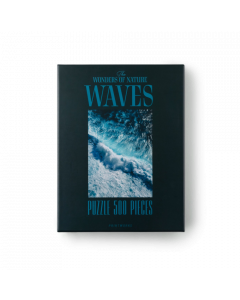Puzzle WAVES