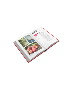 Swiss Fondue (softcover)