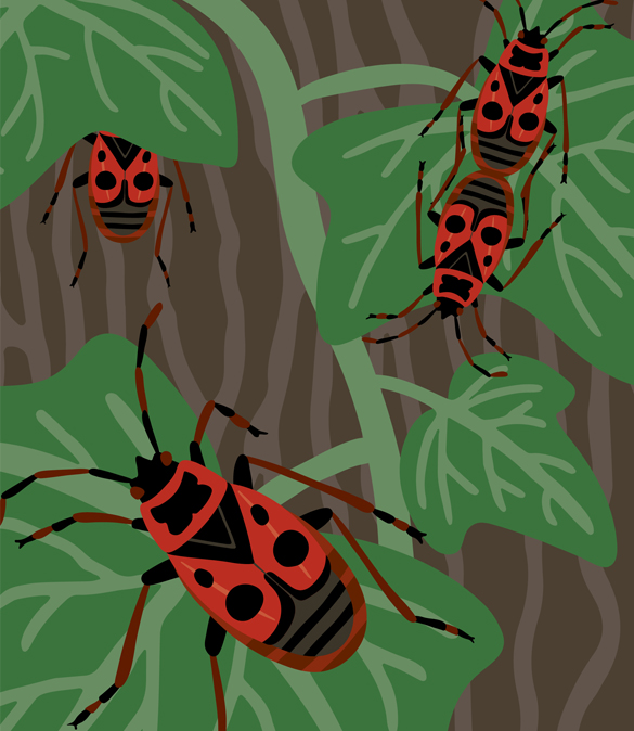 Insektorama (DE) Image 3