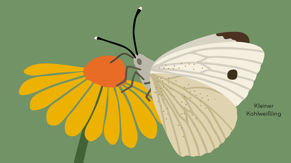 Insektorama (DE) Image 8