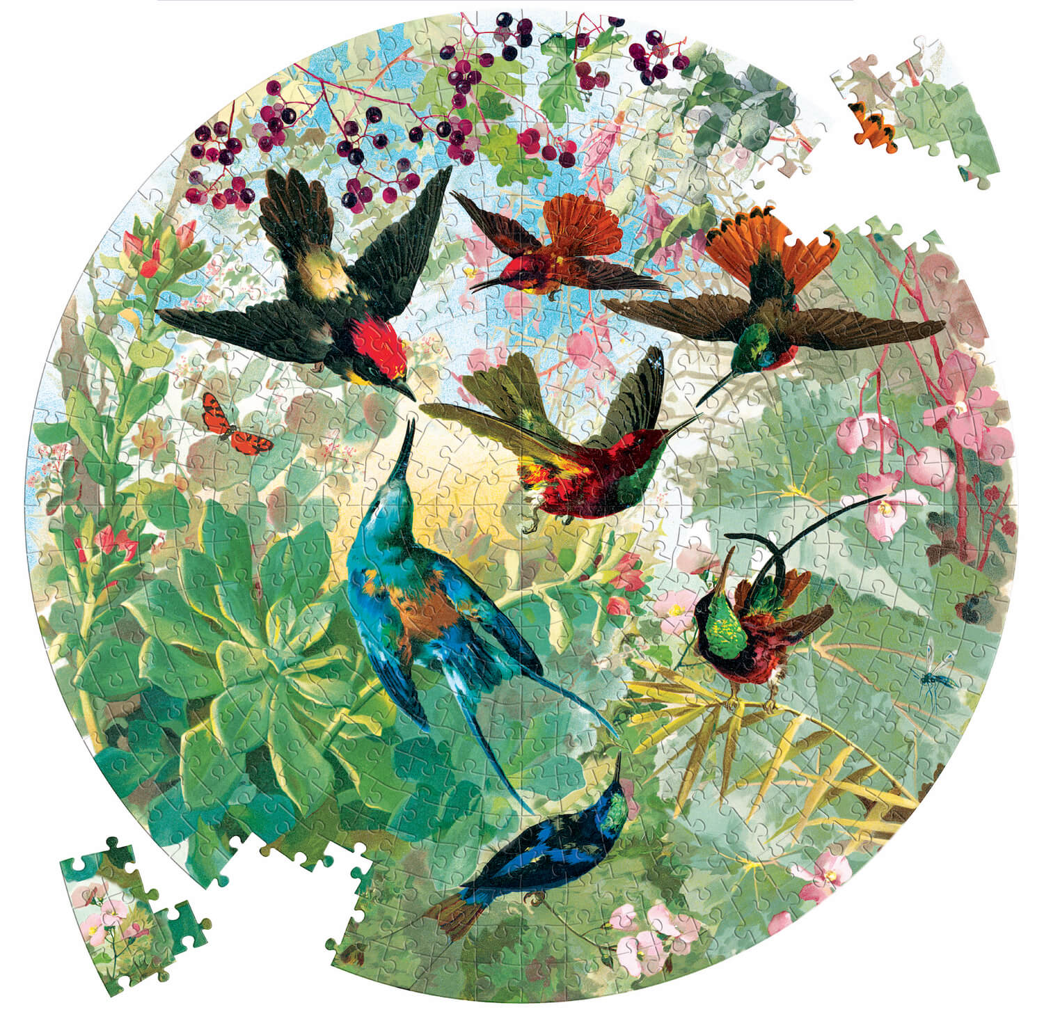 Puzzle Hummingbirds 500 pcs Round Image 1