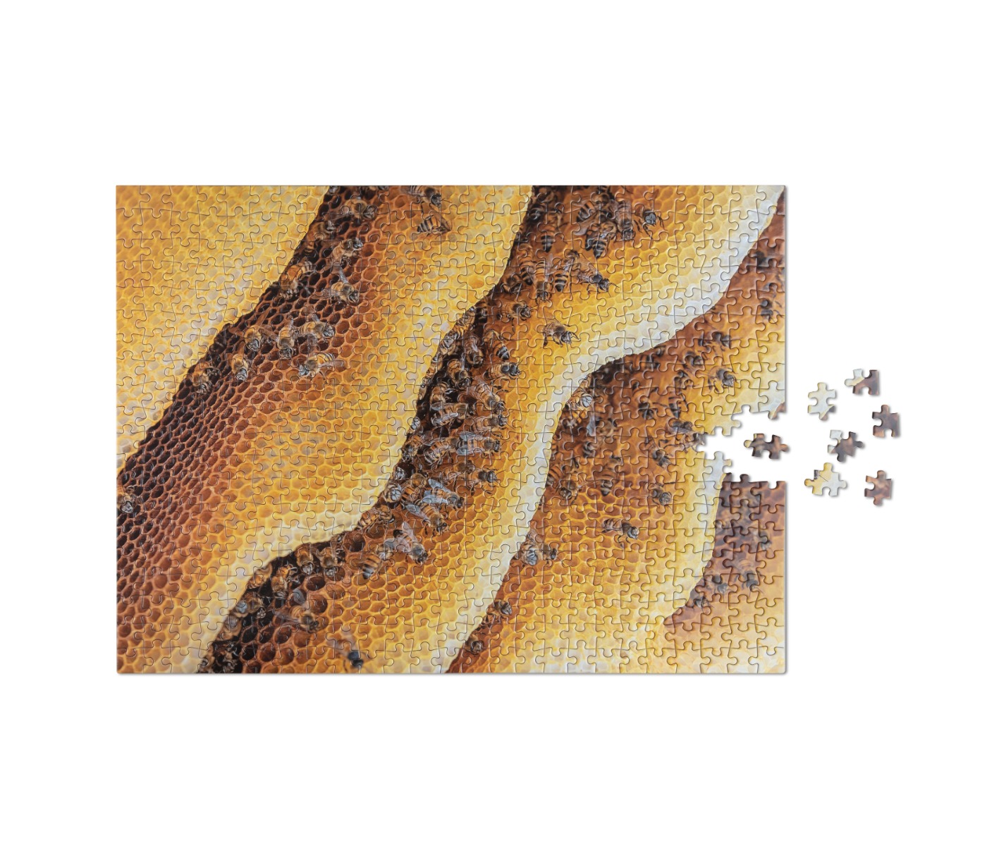 Puzzle BEES Image 3