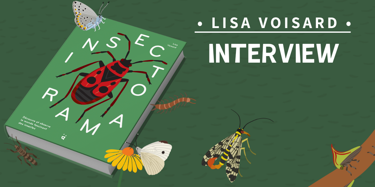 Insectorama : le monde fascinant des insectes par Lisa Voisard